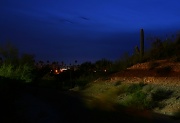 10th Nov 2011 - Saguaro At Night