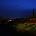 Saguaro At Night by kerristephens