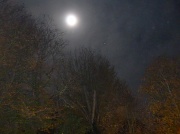 11th Nov 2011 - Moonlight