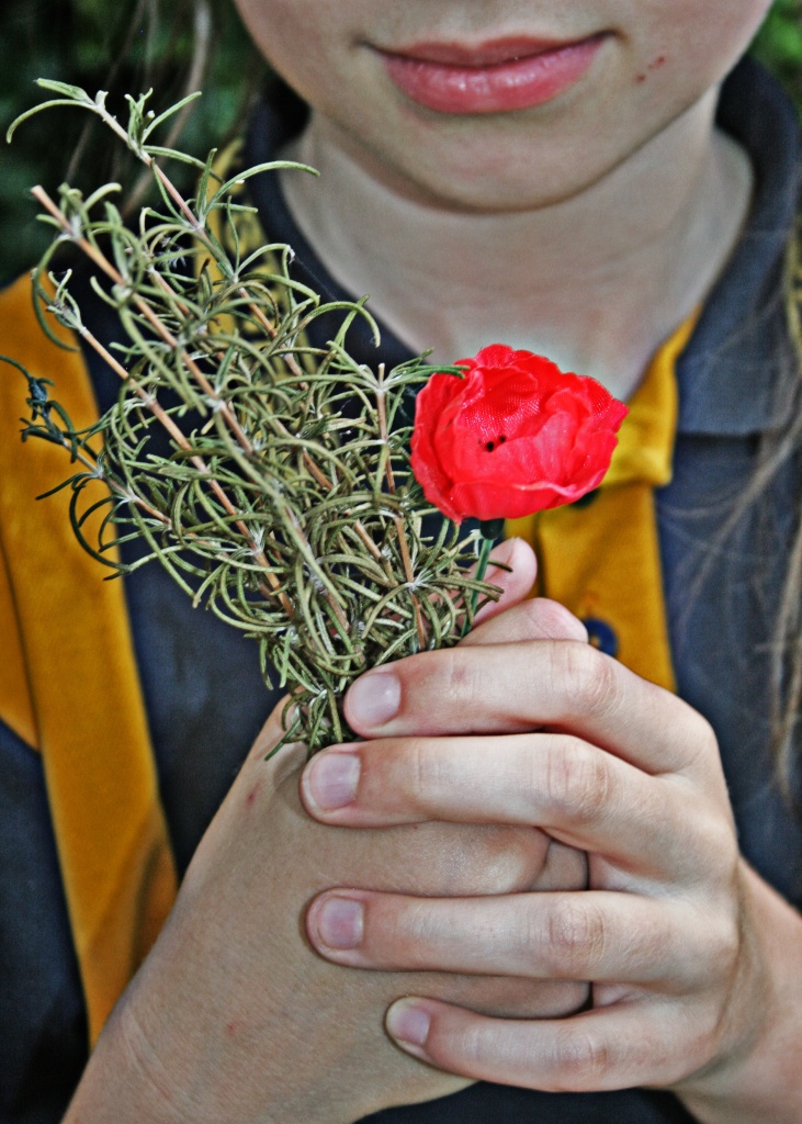 Remembrance ... 11.11.11 by corymbia