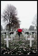 11th Nov 2011 - American Cemetery