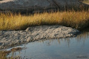 11th Nov 2011 - Shoreline Layers