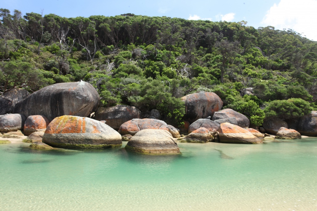 Jade coloured waters - Tidal River - Wilson's Promontory by lbmcshutter