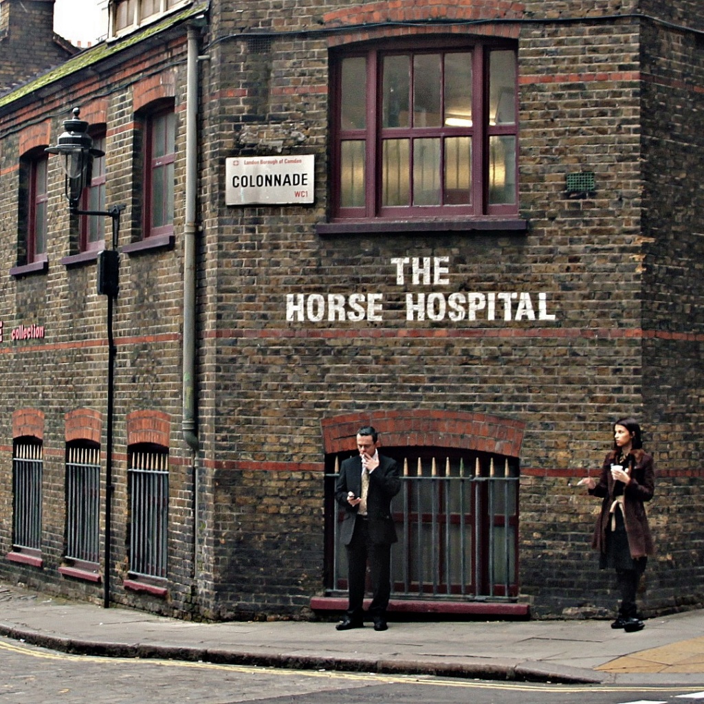 The Horse Hospital by rich57