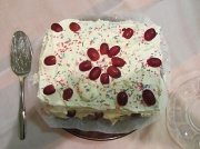 13th Nov 2011 - Cream cake IMG_0697