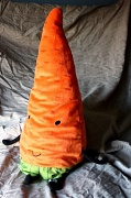 11th Nov 2011 - Carrot Face