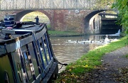 13th Nov 2011 - Sunday afternoon on the Grand Union canal 