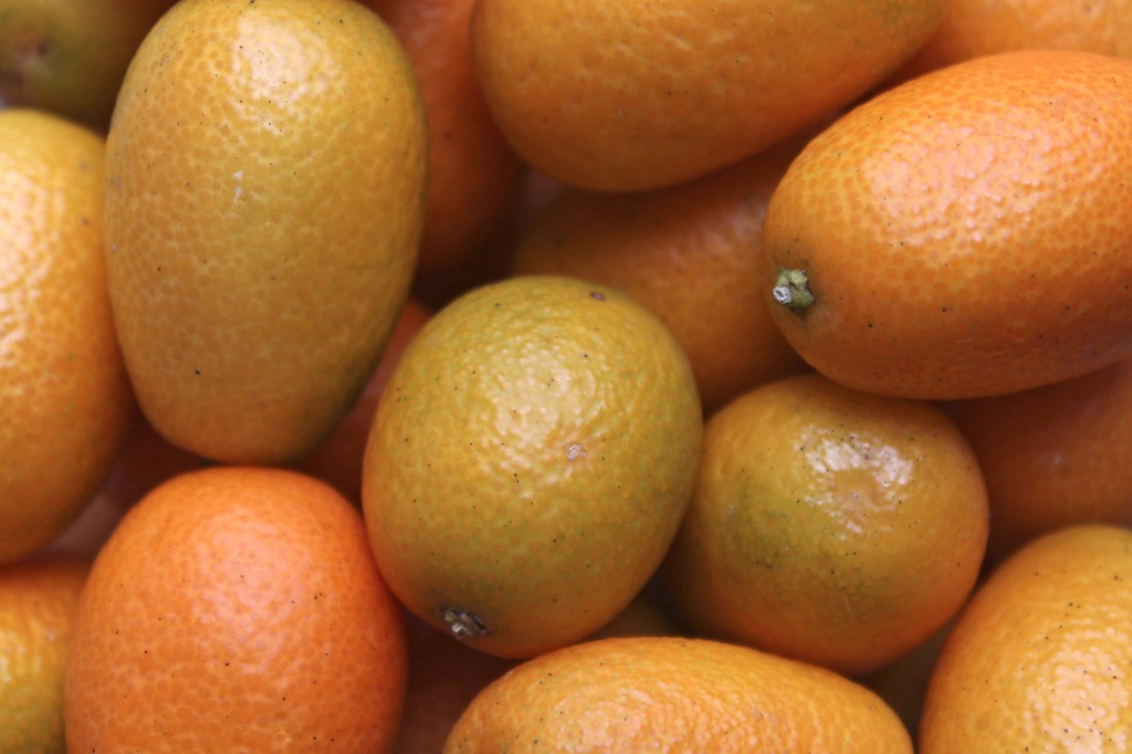 Kumquats by lisabell