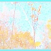Autumn Pastel by grammyn