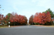 14th Nov 2011 - Woodmere in the Fall