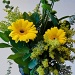 Flowers For Harriet by jgpittenger