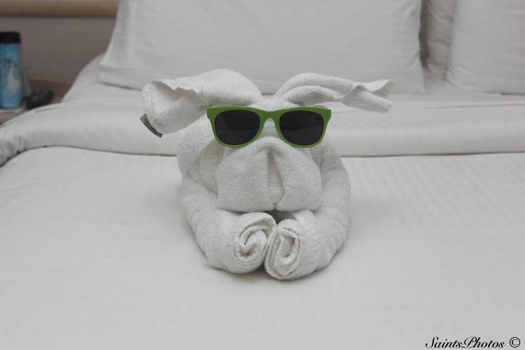 Towel bunny by stcyr1up