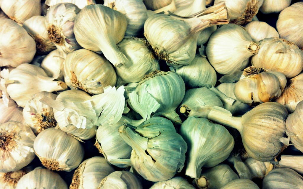 Garlic by andycoleborn