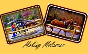 15th Nov 2011 - Molasses Making Time