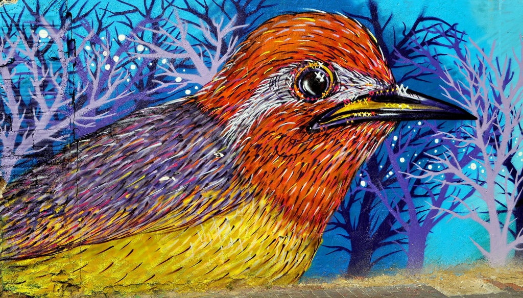 Bird Graffiti  by philbacon
