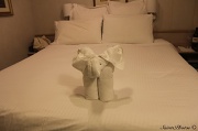 16th Nov 2011 - Towel Elephant