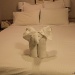 Towel Elephant by stcyr1up
