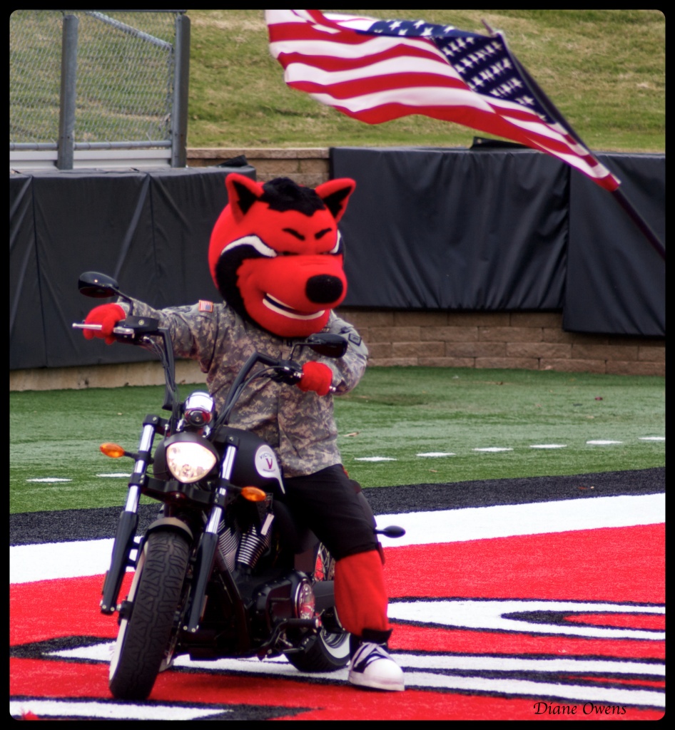 Arkansas State University Red Wolf by eudora