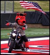 14th Nov 2011 - Arkansas State University Red Wolf