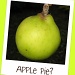 My apple crop by jmj