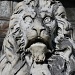 lion from peles castle by meoprisan