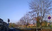 15th Nov 2011 - The autumn colours have gone