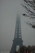 16th Nov 2011 - Hide & seek Eiffel Tower #12
