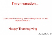 18th Nov 2011 - Holiday Vacation