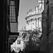View of the Radcliffe Camera by dulciknit