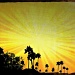 Sunburst And Palm Tree Silhouettes by kerristephens
