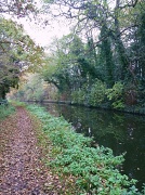 14th Nov 2011 - Canal walk