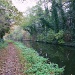 Canal walk by sabresun