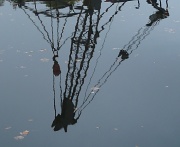 3rd Nov 2011 - Reflected narrowboat crane