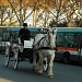 Just for fun: Transports in Paris by parisouailleurs