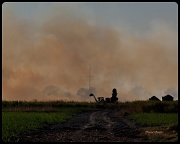 18th Nov 2011 - Burning Sugarcane