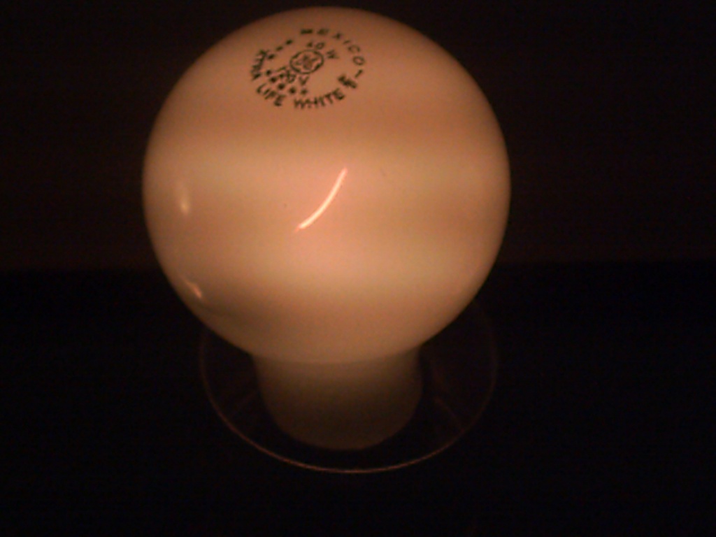 Light Bulb 11.18.11 by sfeldphotos