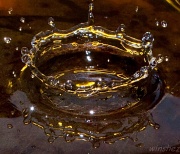 19th Nov 2011 - water crown again, again!!