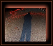 18th Nov 2011 - Only a Shadow