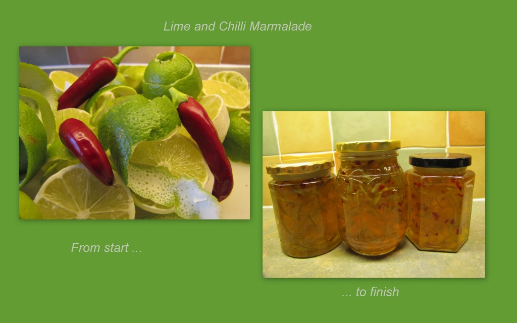 Marmalade making by busylady