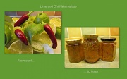 19th Nov 2011 - Marmalade making