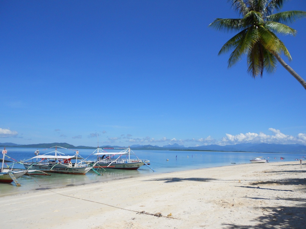 boats, sand and sea (and a coconut tree!) by summerfield