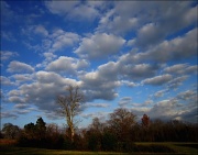 19th Nov 2011 - Painted Sky
