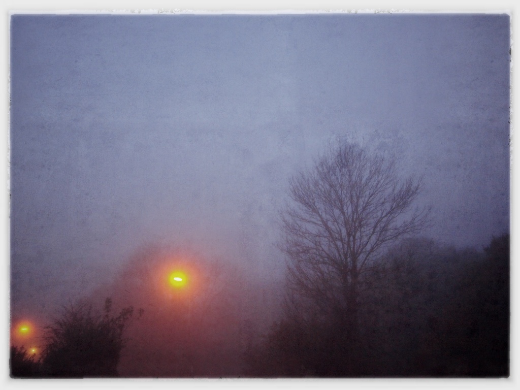 A Foggy Day by mattjcuk