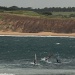 happy windsurfers by lbmcshutter