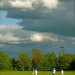 Cricket Under The Clouds by helenmoss