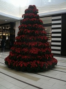 20th Nov 2011 - Oh Christmas Tree part 2