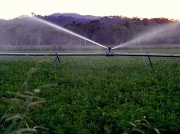 21st Nov 2011 - Irrigation 3