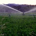 Irrigation 3 by ubobohobo
