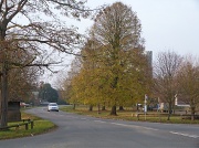 21st Nov 2011 - Cardington village where I work
