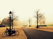 21st Nov 2011 - Into the mist
